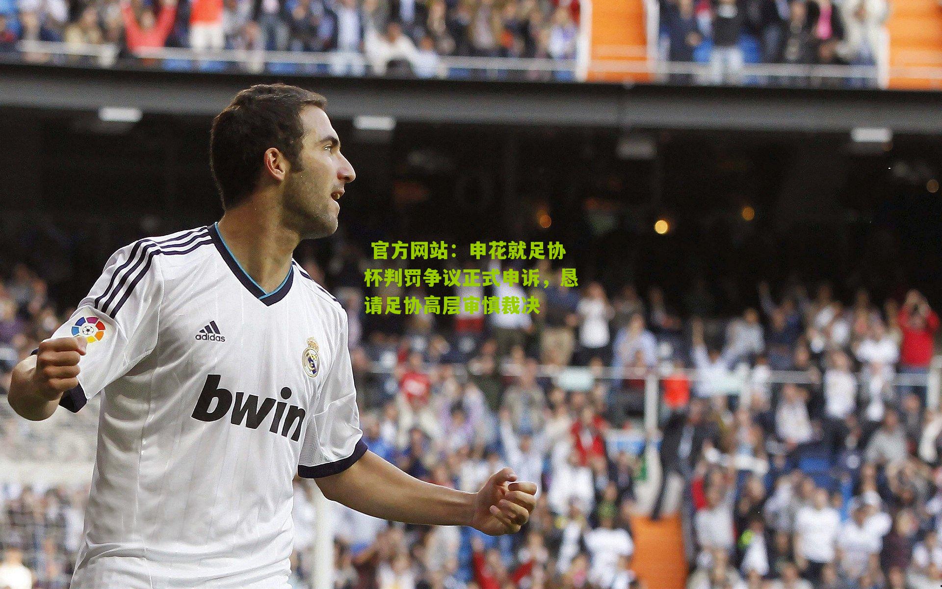 申花就足协杯判罚争议正式申诉，恳请足协高层审慎裁决