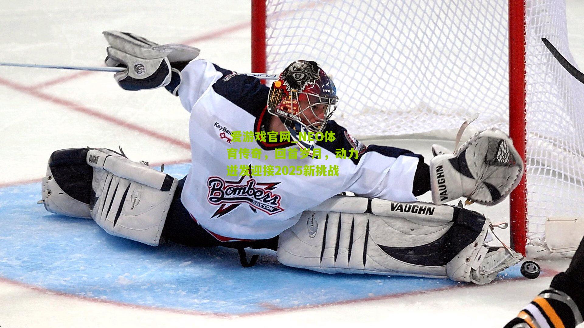 NEO体育传奇，回首岁月，动力迸发迎接2025新挑战